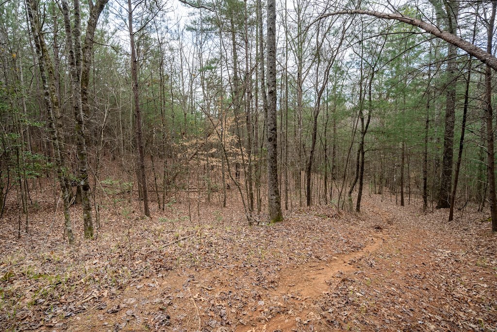 824-830 Banks Road Ellijay, GA 30540 - Photo 7 of 17 Gallery Image 7