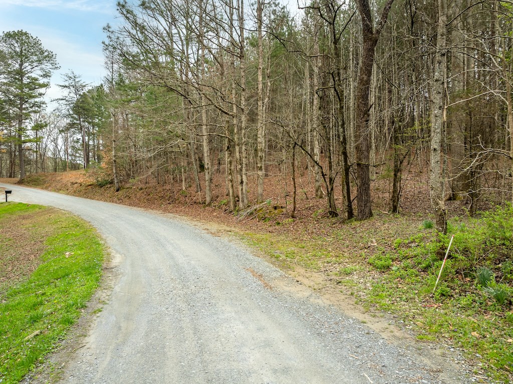 824-830 Banks Road Ellijay, GA 30540 - Photo 8 of 17 Gallery Image 8