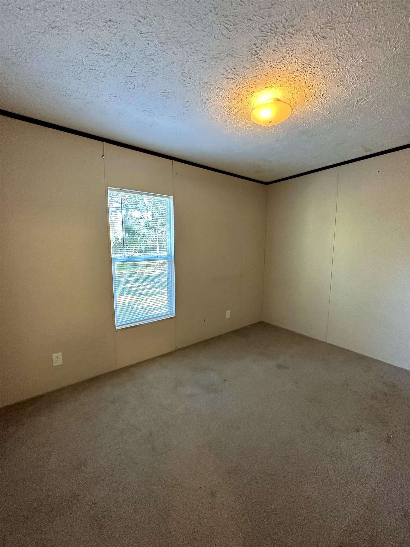 285 Elm Pinetta, FL 32350 - Photo 16 of 16