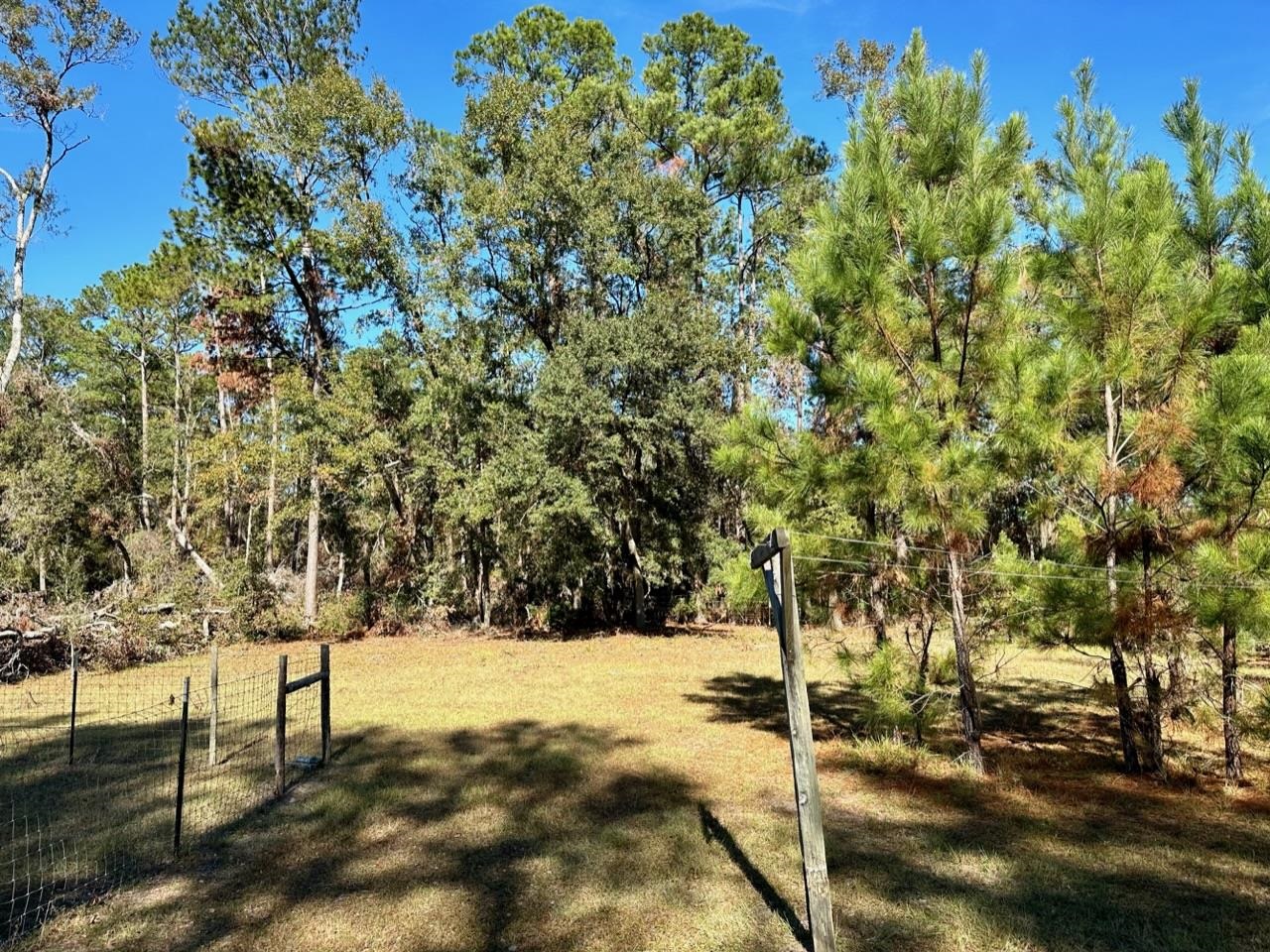 285 Elm Pinetta, FL 32350 - Photo 4 of 16