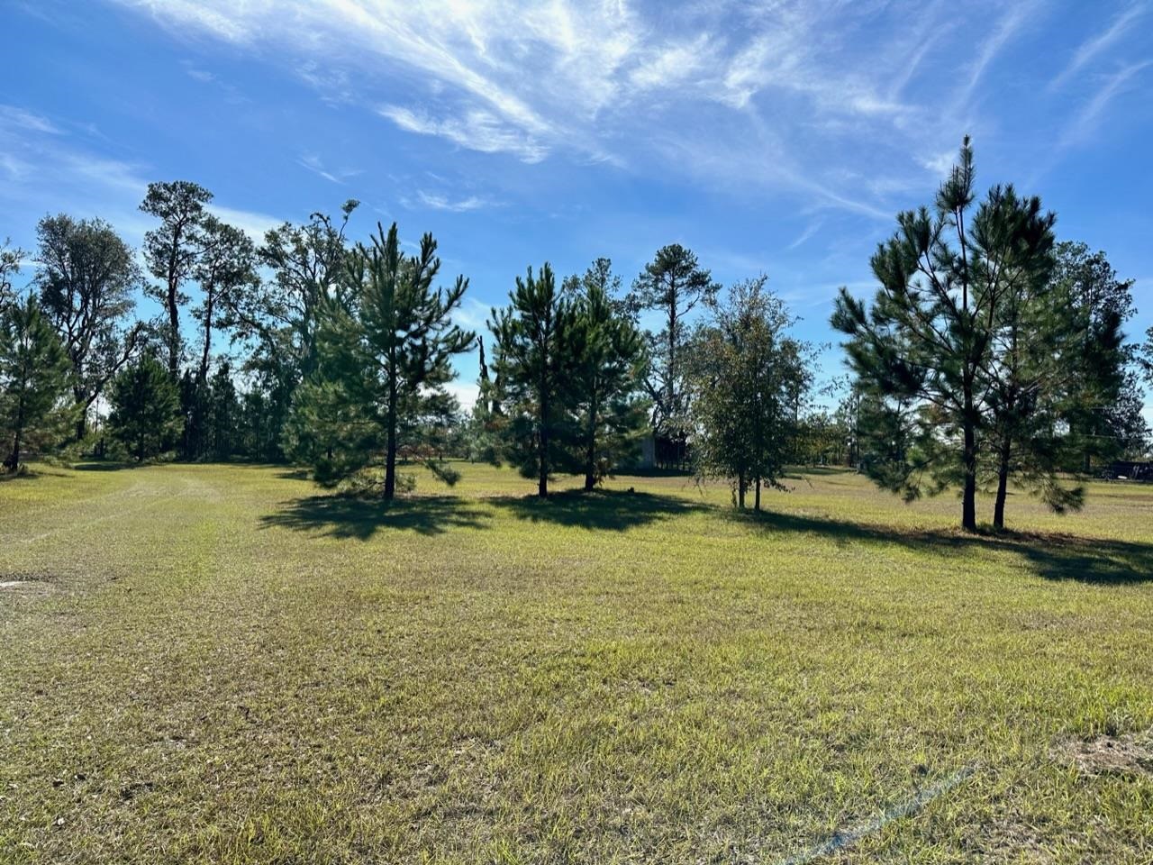 285 Elm Pinetta, FL 32350 - Photo 5 of 16