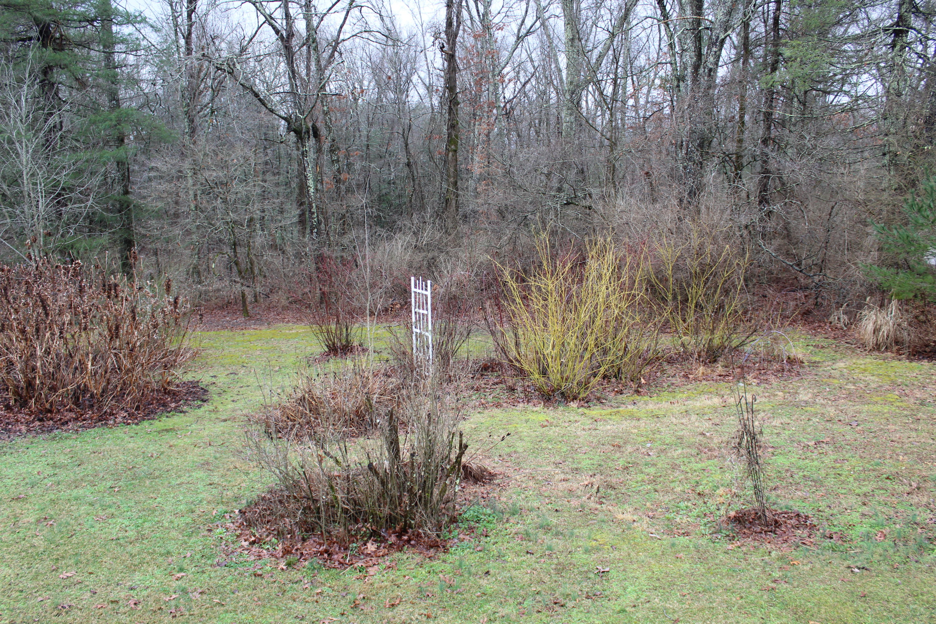134 Dorton Road Crossville, TN 38555 - Photo 18 of 22 IMG_3841