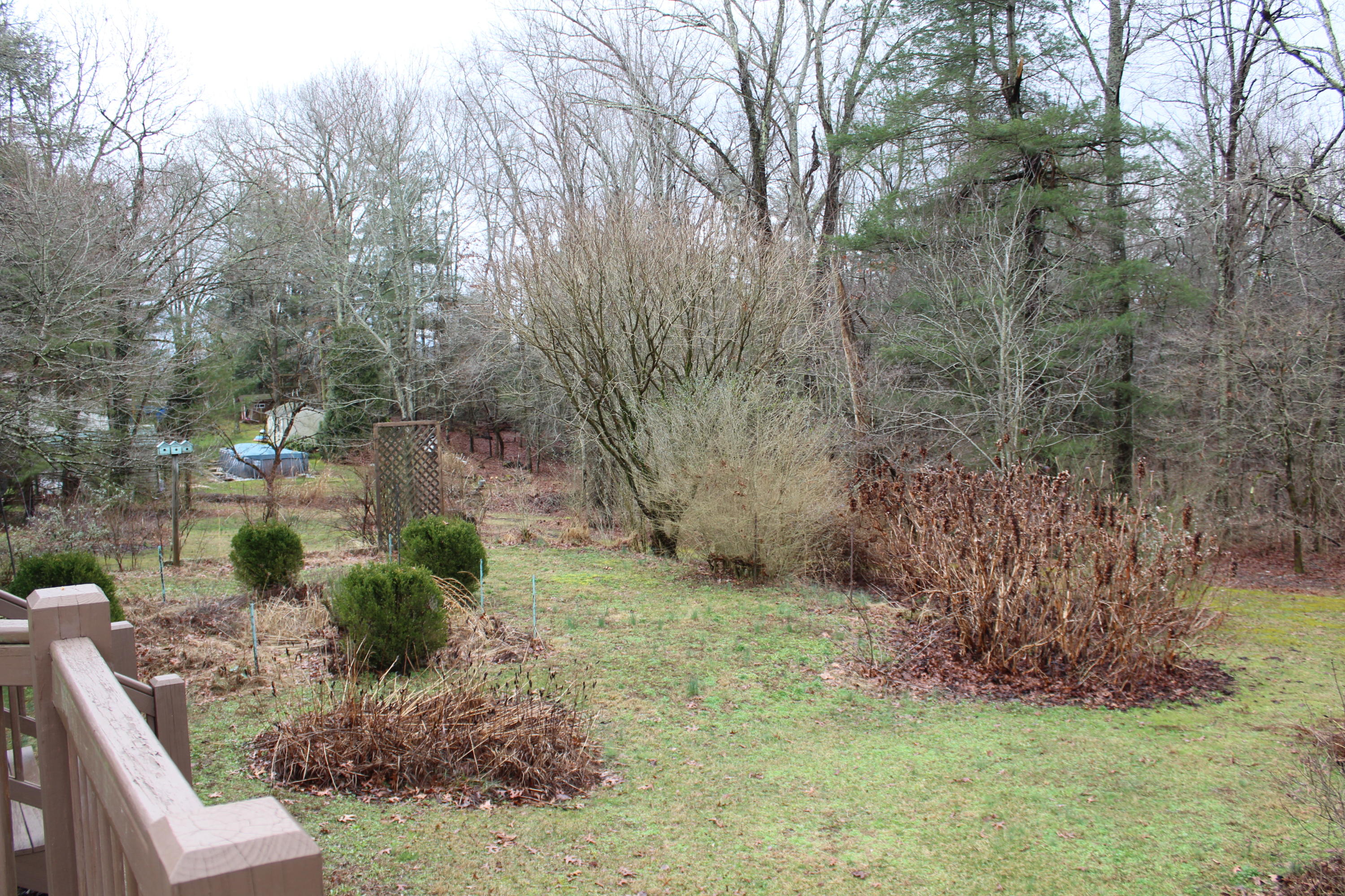 134 Dorton Road Crossville, TN 38555 - Photo 19 of 22 IMG_3842