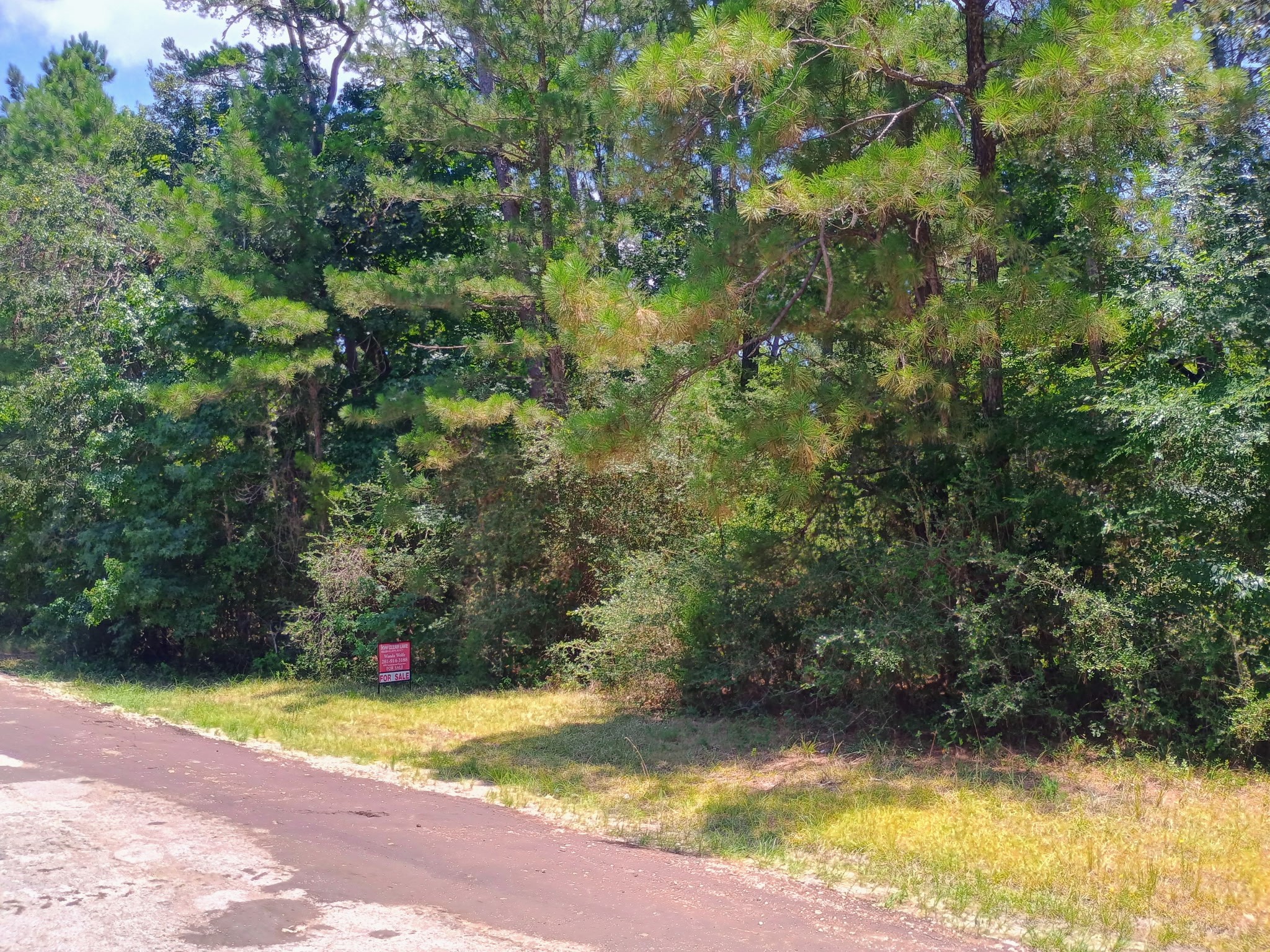 0 Port Boulevard Trinity, TX 75862 - Photo 1 of 10 Beautiful lot that is .21 Acres with mature trees ,