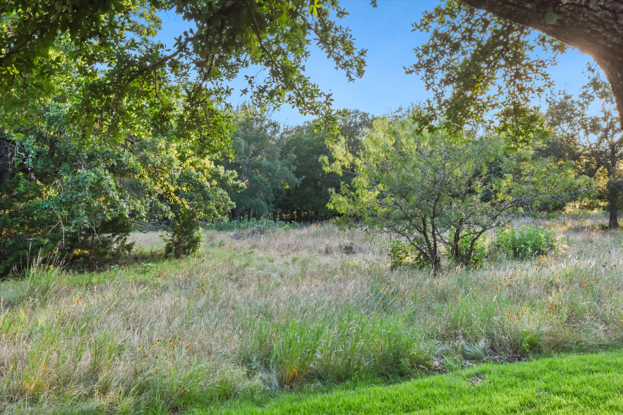 111 Bonham Loop Georgetown, TX 78633 - Photo 28 of 35 Greenbelt