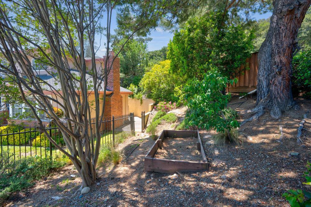 10930 Miramonte Road Cupertino, CA 95014 - Photo 46 of 50 a view of a yard with plants and a large tree