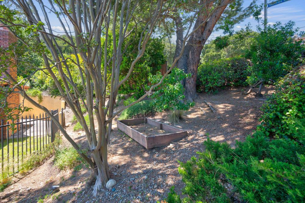 10930 Miramonte Road Cupertino, CA 95014 - Photo 47 of 50 a backyard of a house with lots of green space