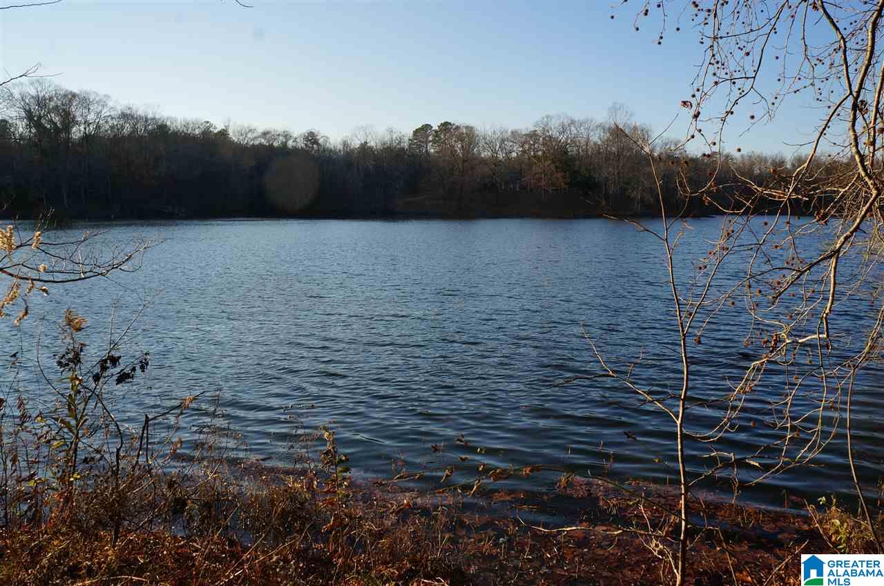 0 Azalea Road, Unit 92 ACRES Sylacauga, AL 35150 - Photo 2 of 9