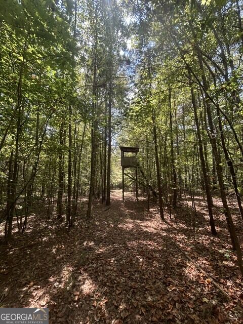0 Sewell Road Mansfield, GA 30055 - Photo 11 of 14 Gallery Image 11