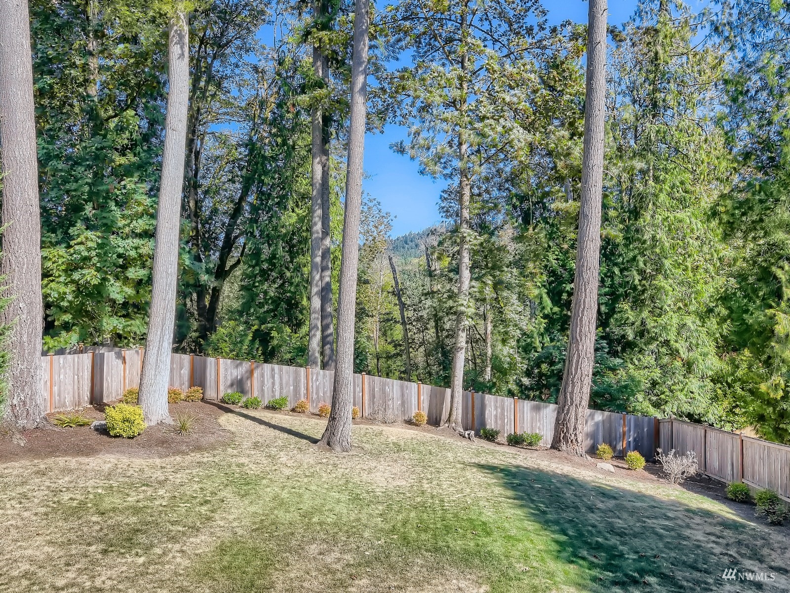 4924 Northeast 25th Street Renton, WA 98059 - Photo 28 of 28 Gallery Image 28
