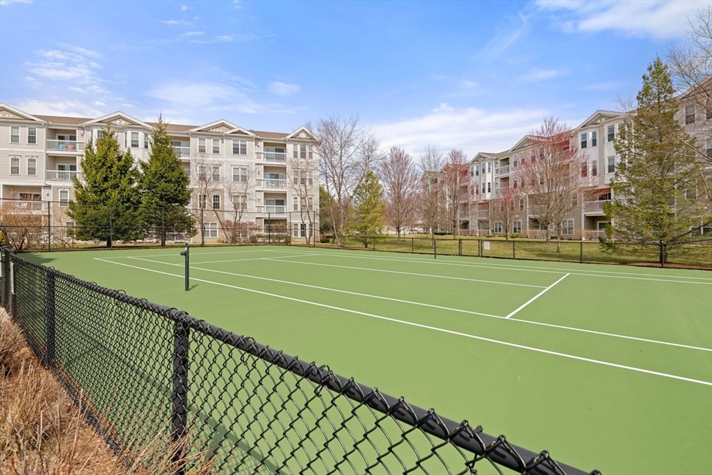 204 Clocktower Drive, Unit 202 Waltham, MA 02452 - Photo 25 of 25 a view of a tennis ground with large trees