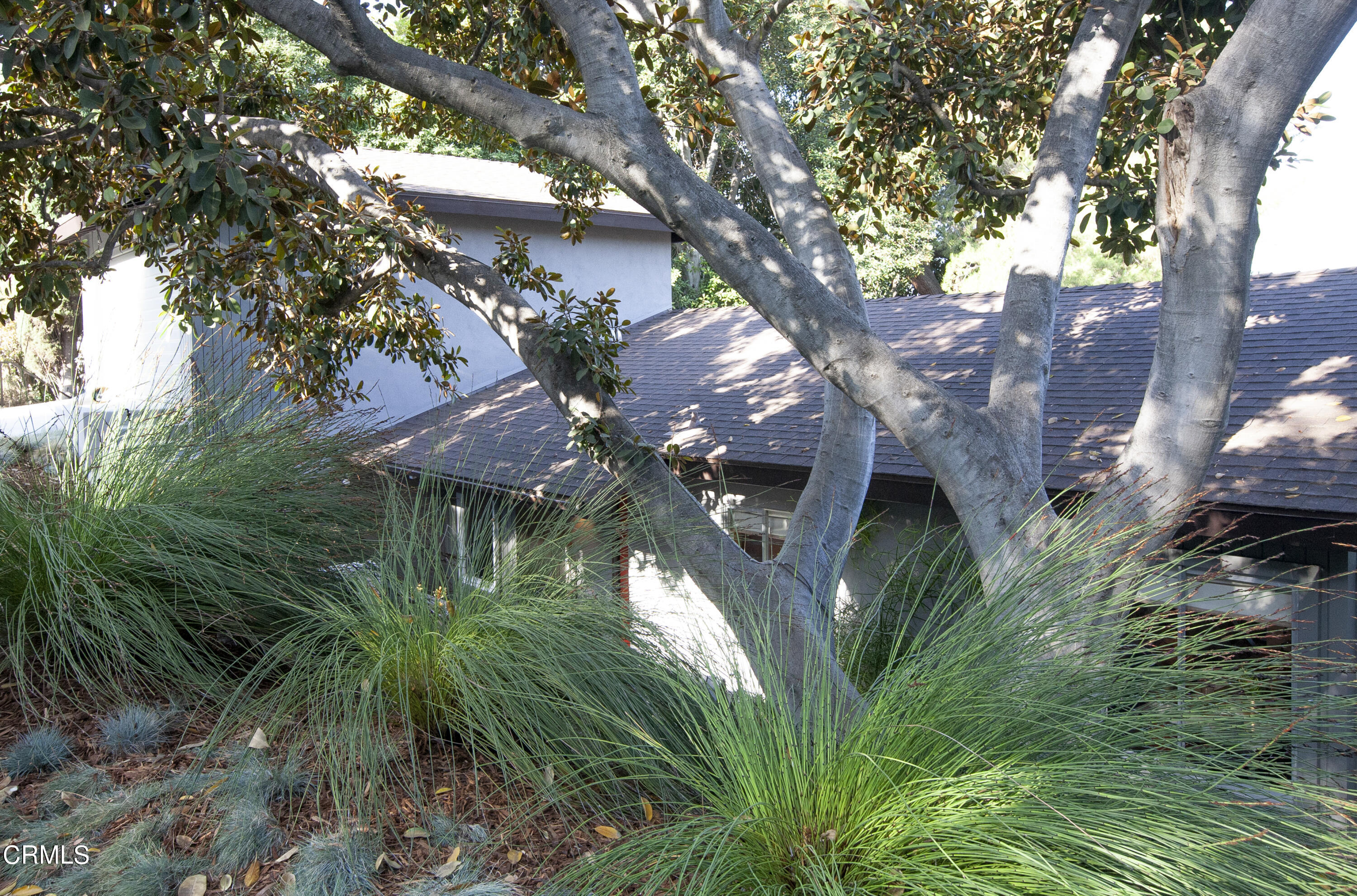 329 Redwood Drive Pasadena, CA 91105 - Photo 28 of 32 a view of a garden