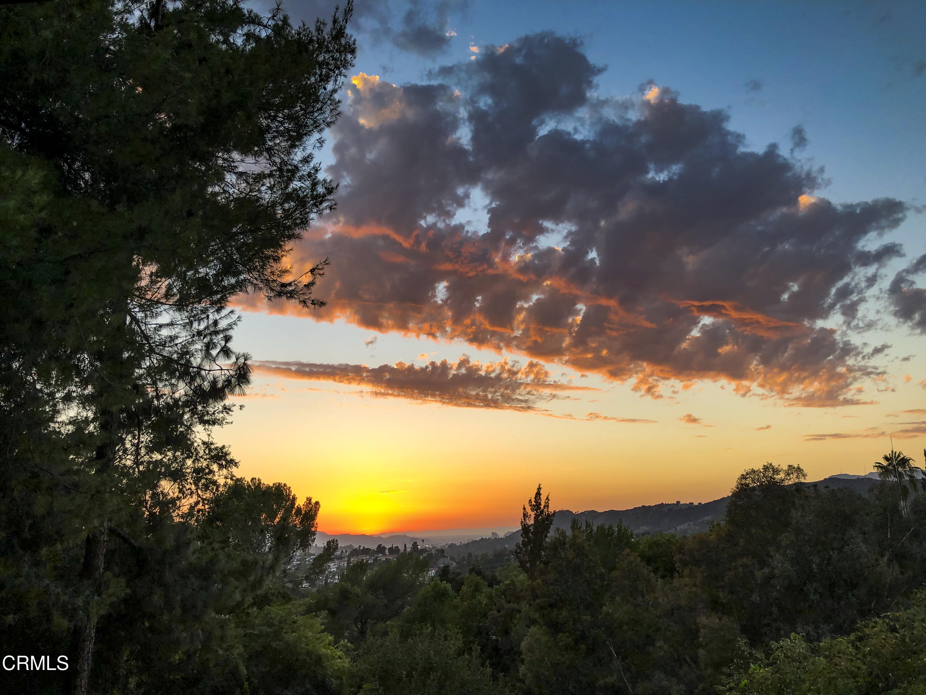 329 Redwood Drive Pasadena, CA 91105 - Photo 31 of 32 a view of a bunch of trees
