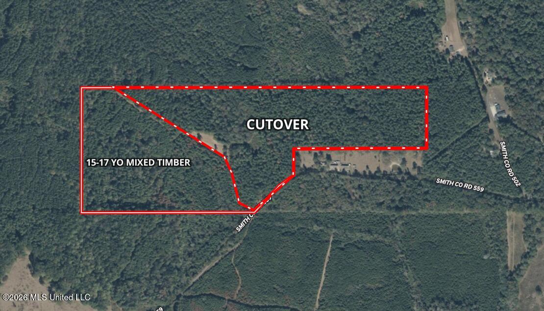 559 Smith County Road Pulaski, MS 39152 - Photo 3 of 32 Screenshot 2026-07-31 181454