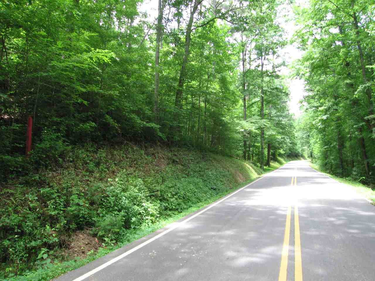 0 Tellico Reliance Road Northwest Reliance, TN 37369 - Photo 3 of 36 a view of a street view