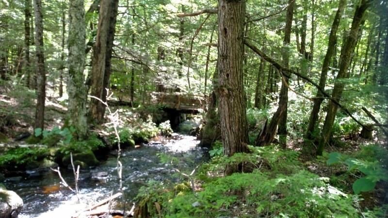 0 Grist Mill Road Bridgton, ME 04009 - Photo 9 of 48 11 brook 6_800x450
