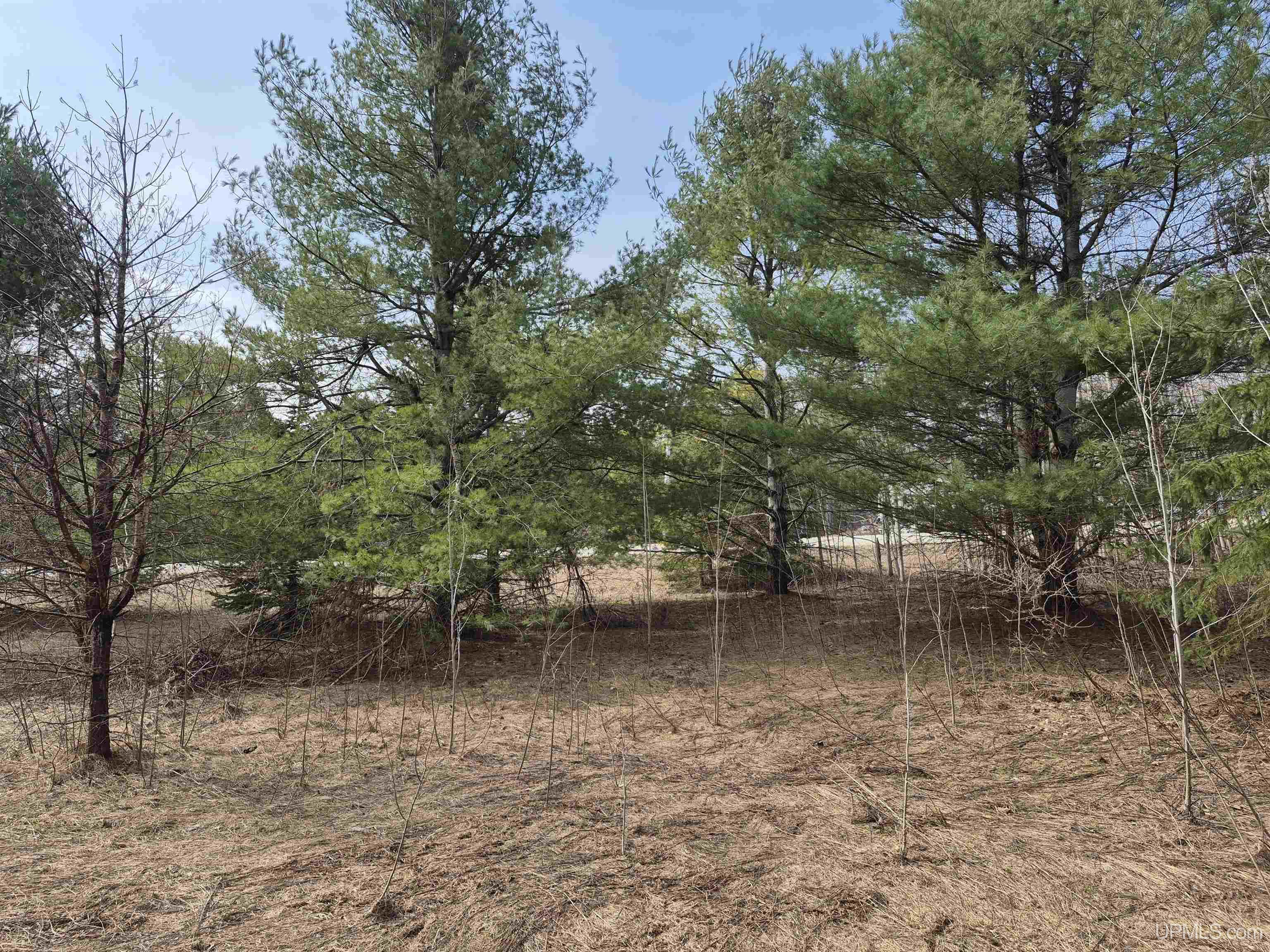 East 20 Quarry Road Gulliver, MI 49840 - Photo 6 of 47