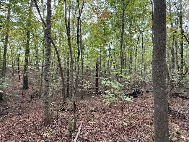 4 Tipple Road Tracy City, TN 37387 - Photo 6 of 19 Gallery Image 6