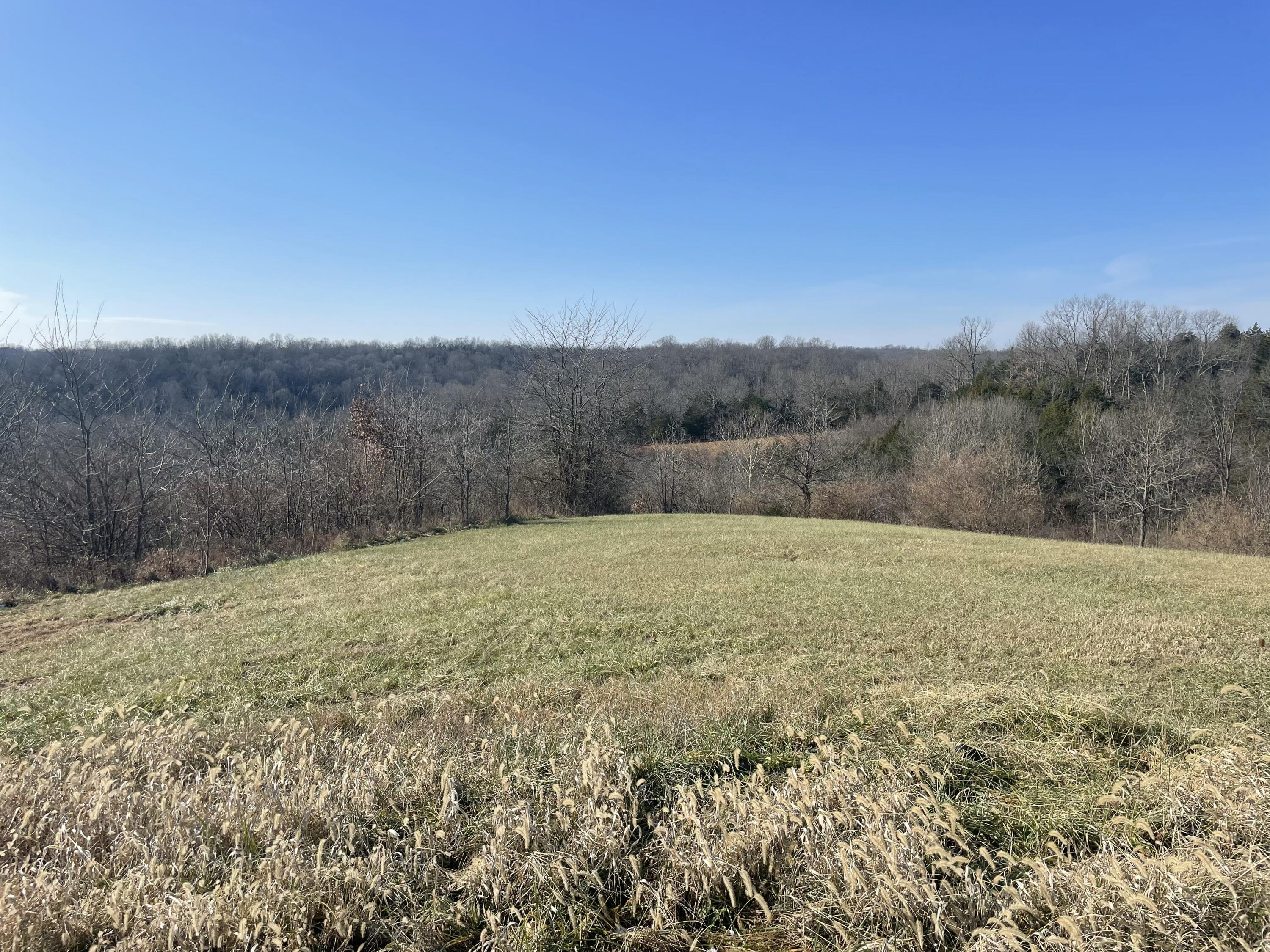 1078 Hamilton Road Brooksville, KY 41004 - Photo 27 of 50