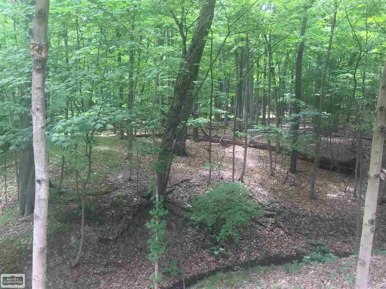 1589 Scenic Hollow Rochester Hills, MI 48306 - Photo 14 of 52