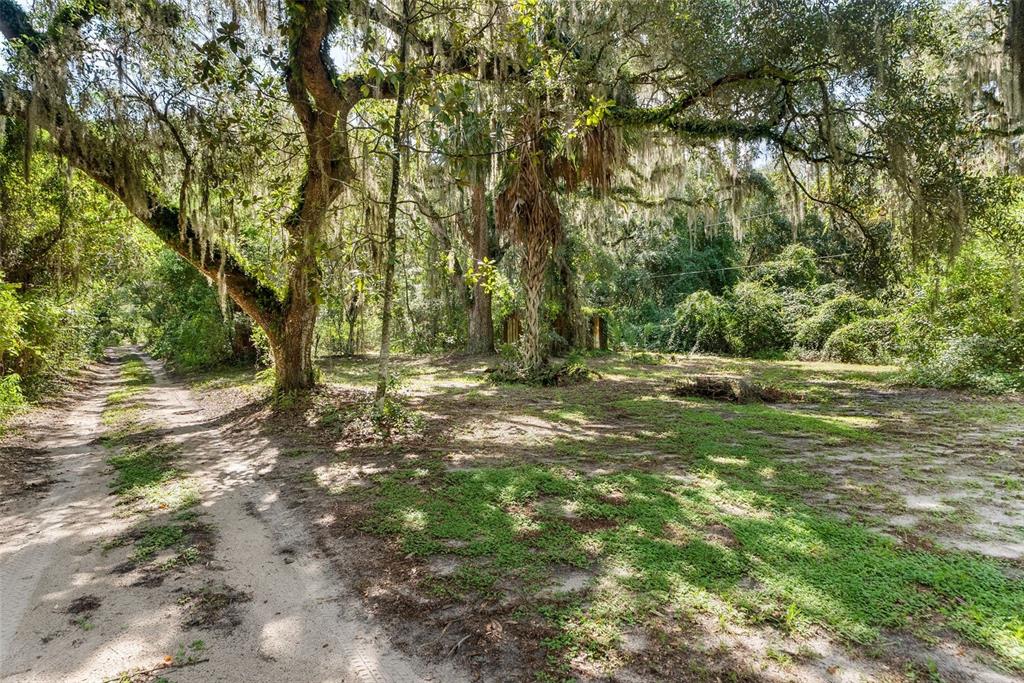 177 Cowpen Lake Point Road Hawthorne, FL 32640 - Photo 27 of 39 Gallery Image 27