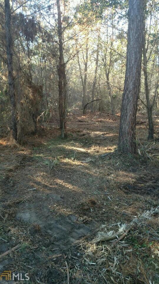107 Runs Crossing Drive, Unit 4 Springfield, GA 31329 - Photo 1 of 1 a backyard of a house with lots of green space