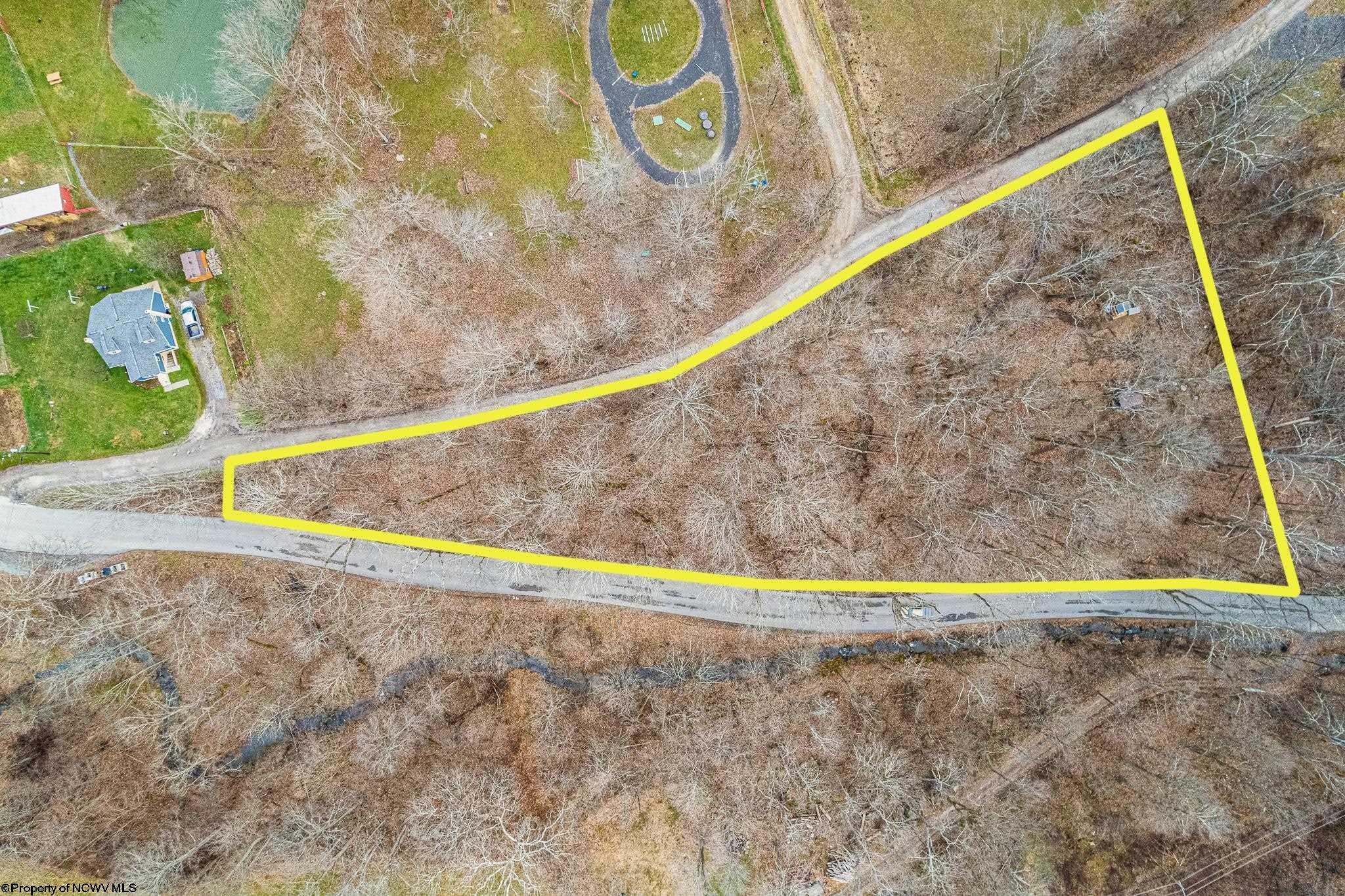 Tbd Coal Lick Road Albright, WV 26519 - Photo 4 of 21 Gallery Image 4