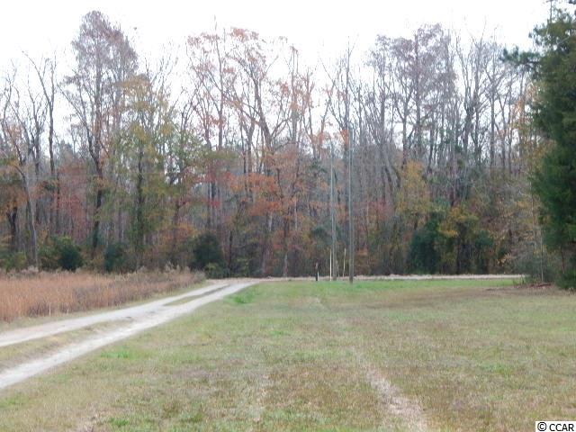 2771 Southfork Road Green Sea, SC 29545 - Photo 25 of 25 Gallery Image 25