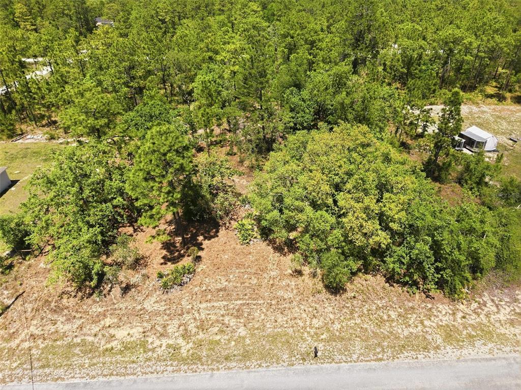 10 Cagarro Road Weeki Wachee, FL 34614 - Photo 12 of 21
