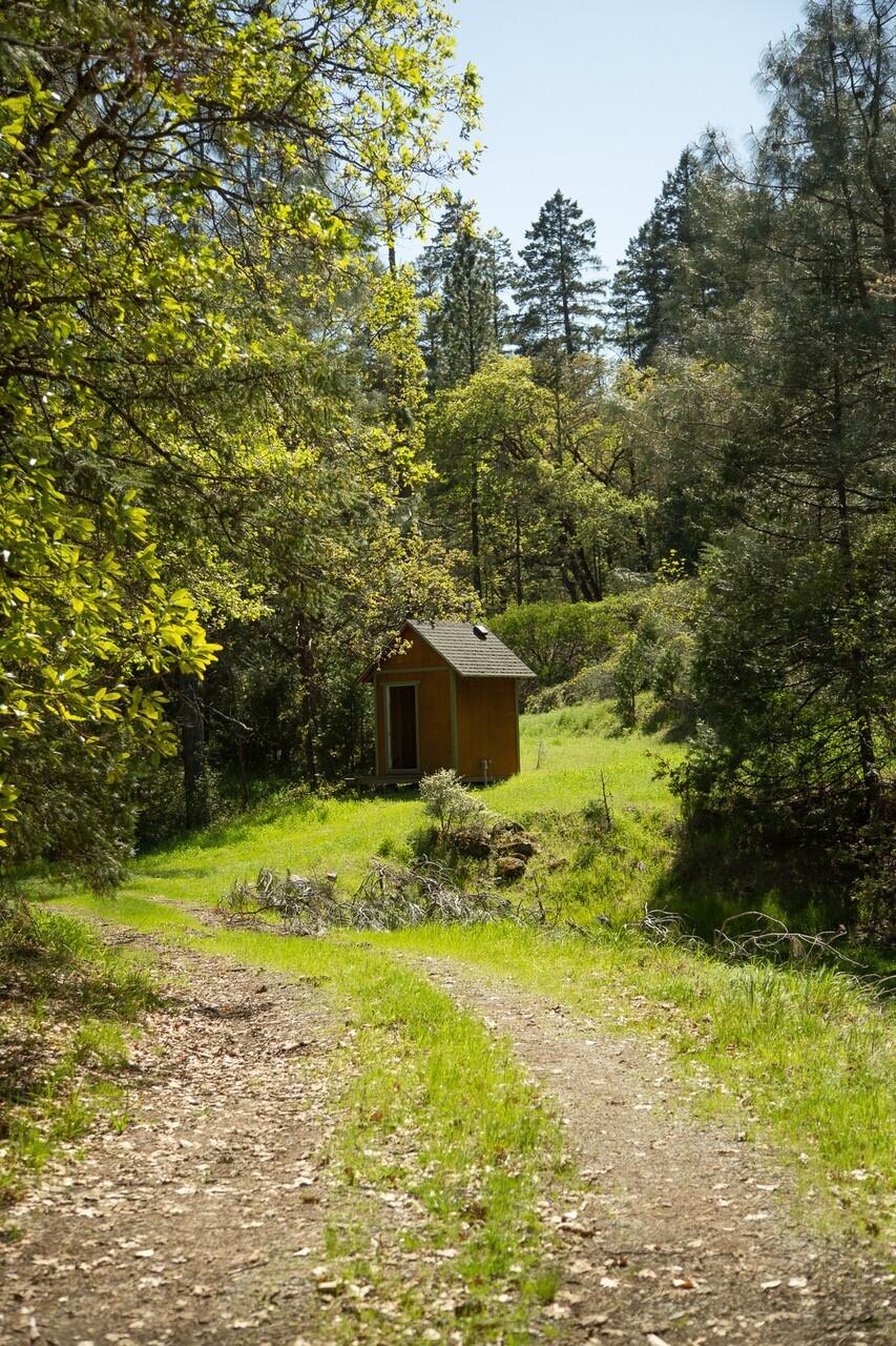 10041 Highway 299, Unit 299 Burnt Ranch, CA 95527 - Photo 8 of 44