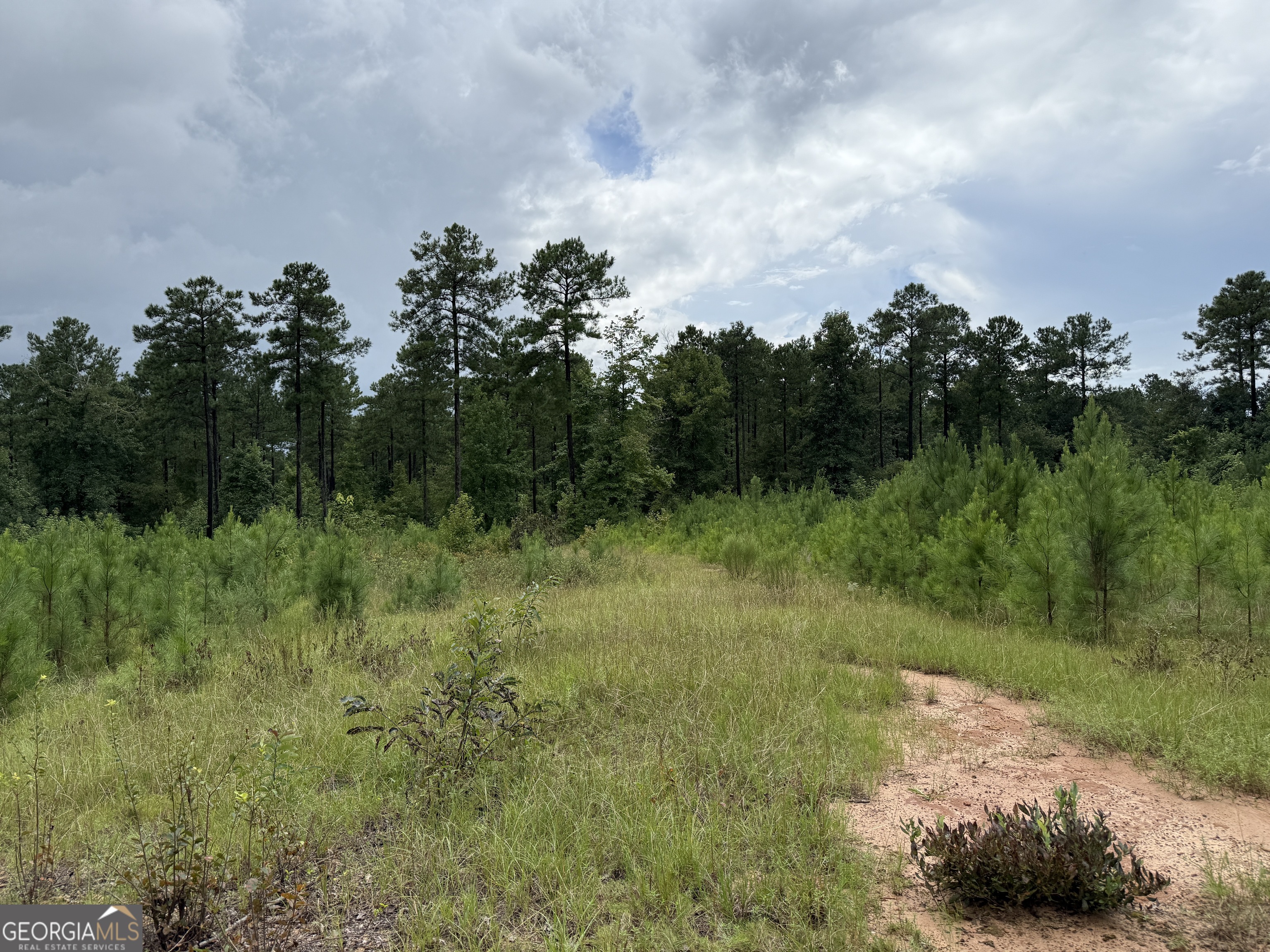 39.87-acres Irby Road Gibson, GA 30810 - Photo 33 of 56 Gallery Image 33