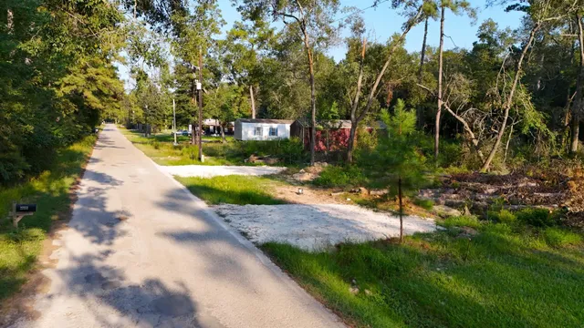 a view of a park with large trees