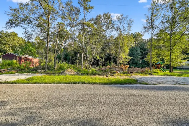 a view of a yard with a tree
