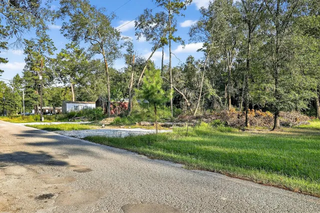a view of a flower garden