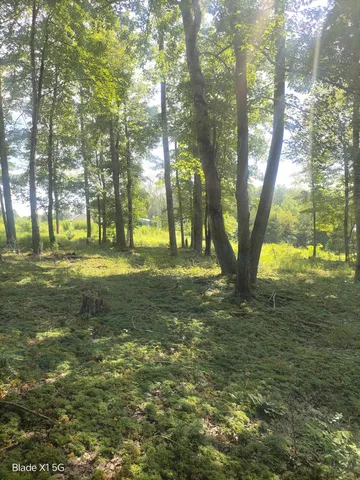 a view of outdoor space with trees