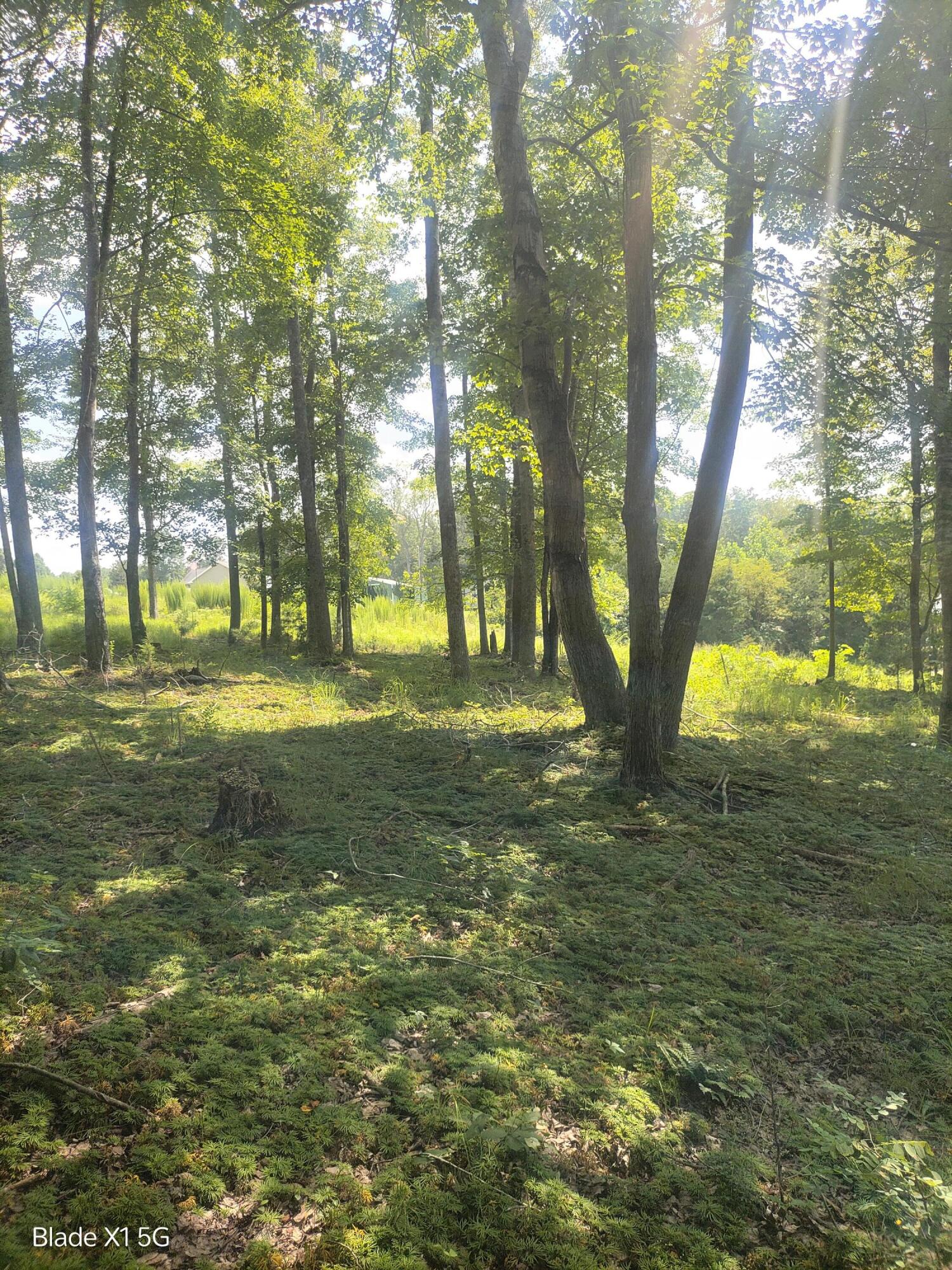 Lot 22 Jefferson Dock Road Penhook, VA 24137 - Photo 11 of 20