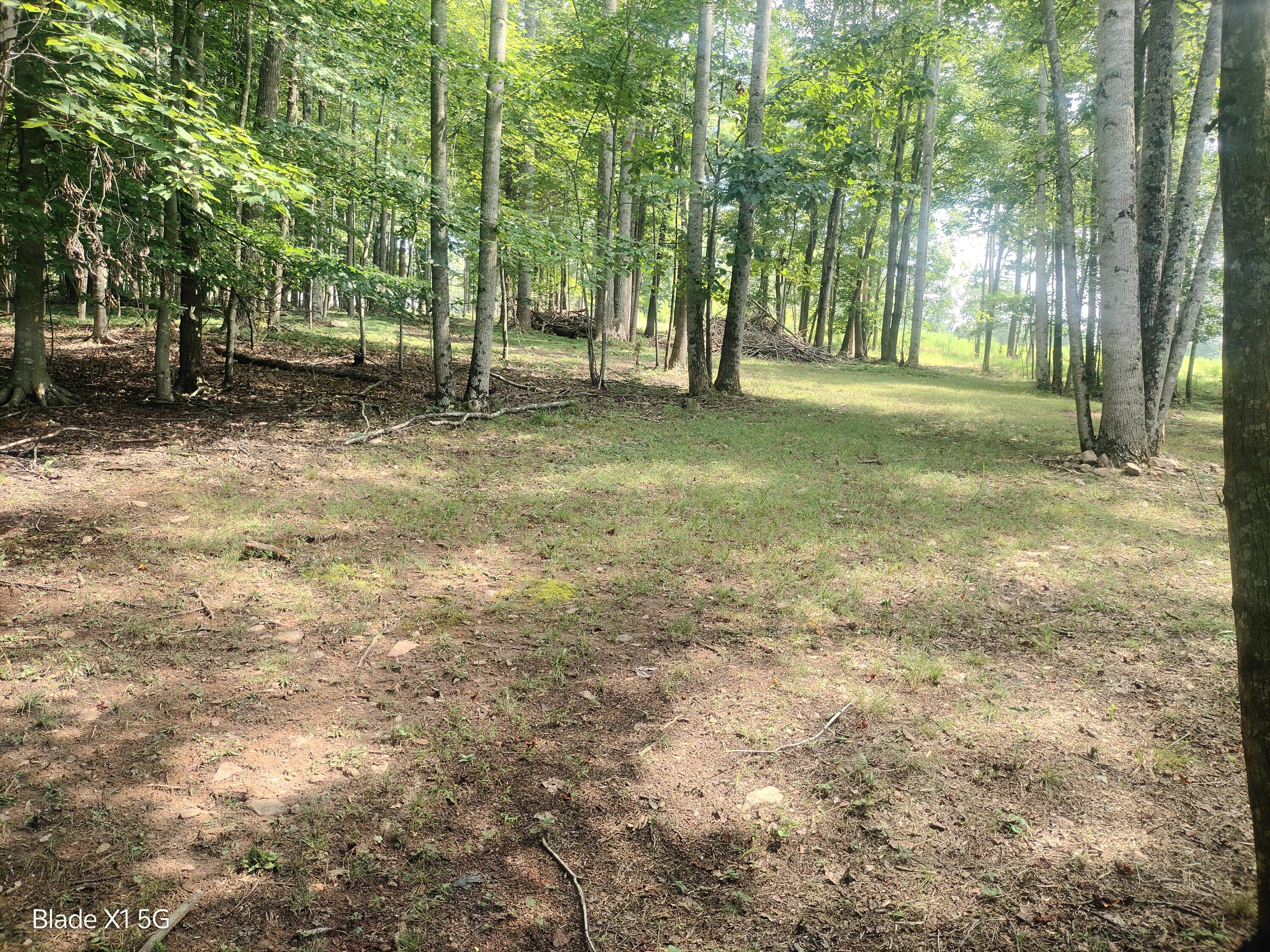 Lot 22 Jefferson Dock Road Penhook, VA 24137 - Photo 12 of 20 a view of outdoor space with trees