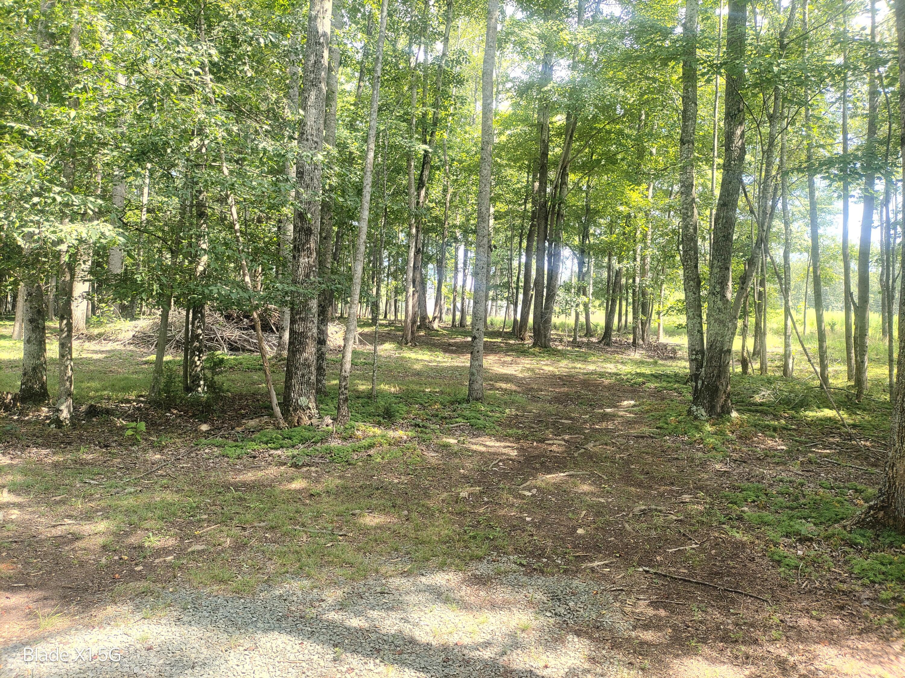 Lot 22 Jefferson Dock Road Penhook, VA 24137 - Photo 14 of 20 a view of yard with trees