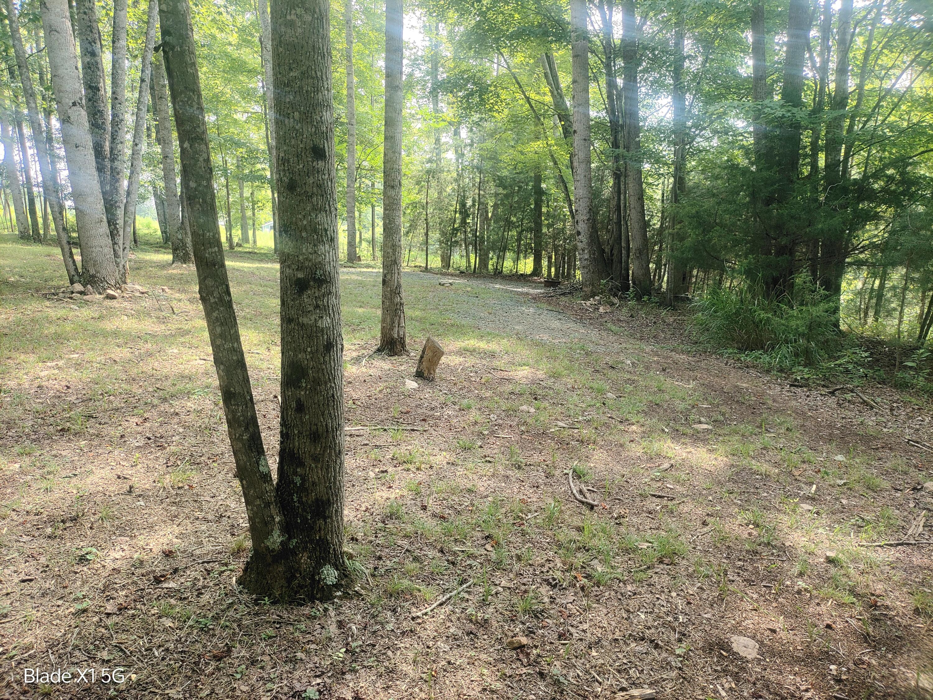 Lot 22 Jefferson Dock Road Penhook, VA 24137 - Photo 15 of 20 a view of outdoor space and trees