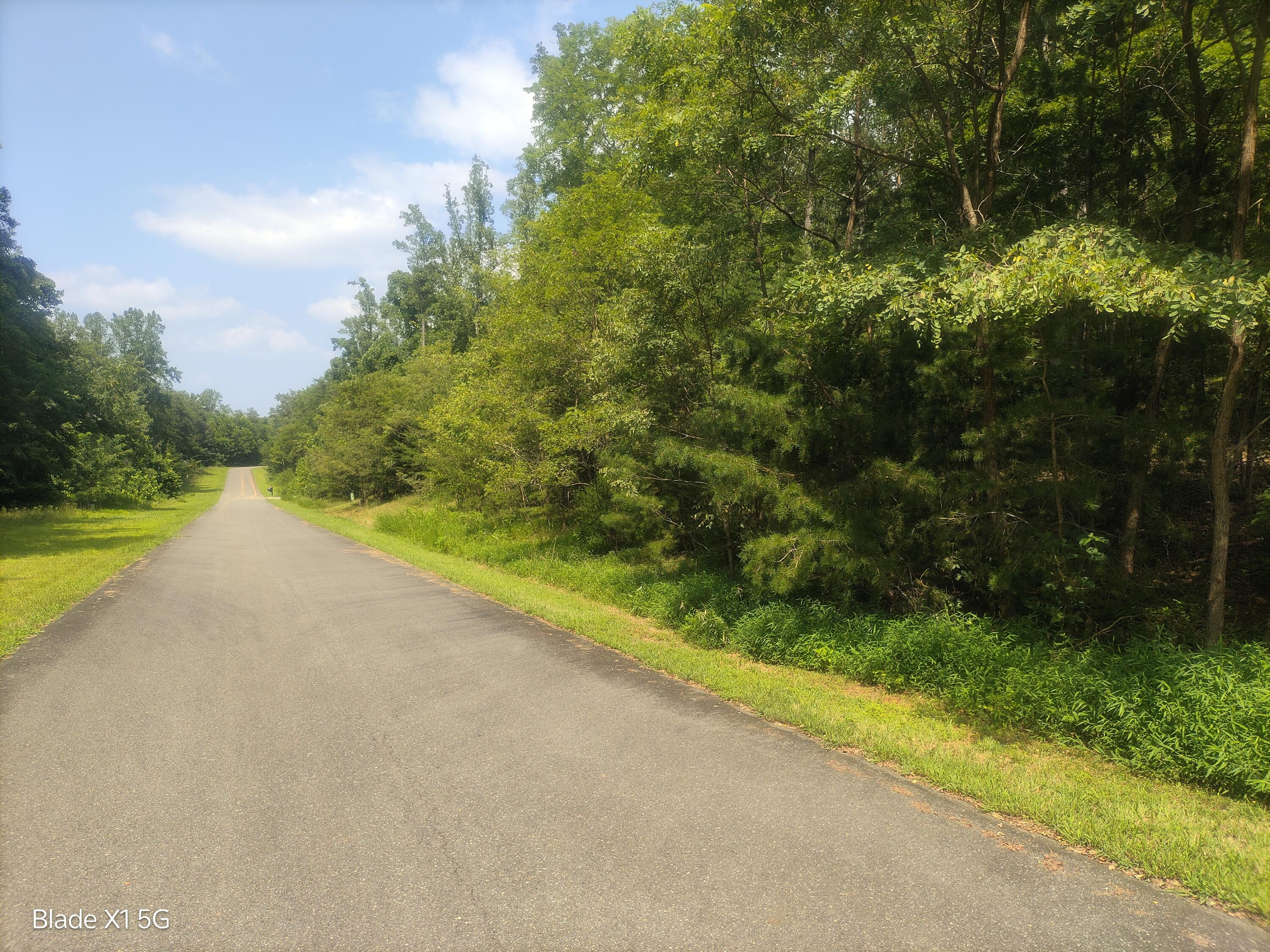 Lot 22 Jefferson Dock Road Penhook, VA 24137 - Photo 19 of 20 a view of a yard with a fountain