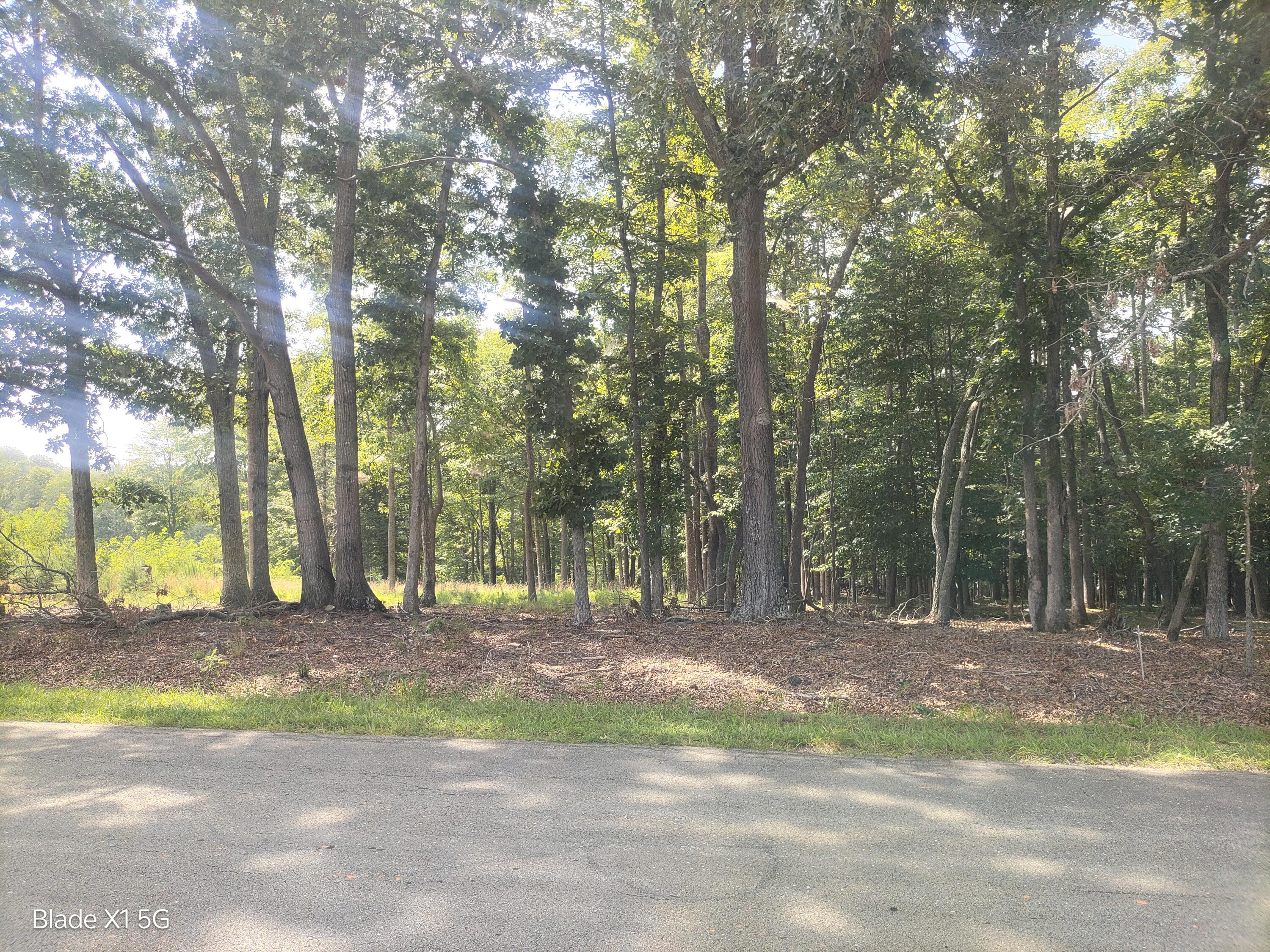 Lot 22 Jefferson Dock Road Penhook, VA 24137 - Photo 6 of 20 a view of a yard with a tree