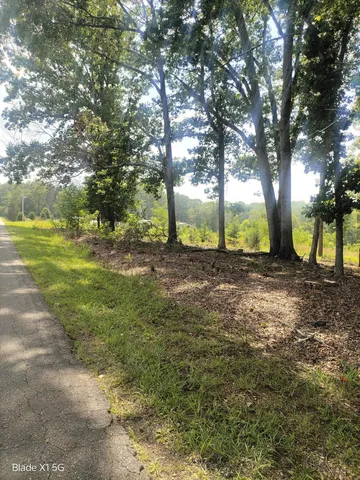 a view of a yard with a tree