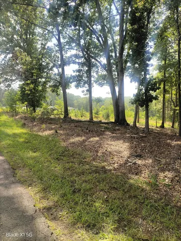 a backyard of a house with lots of green space