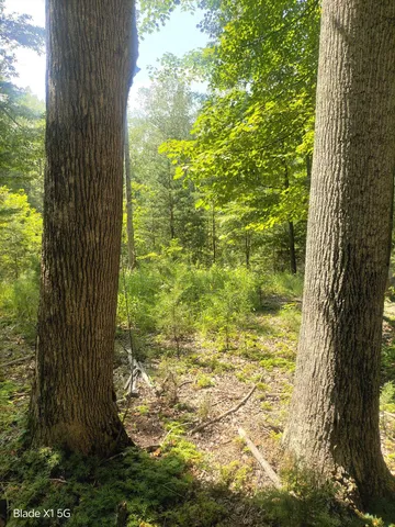a view of a garden from a lake