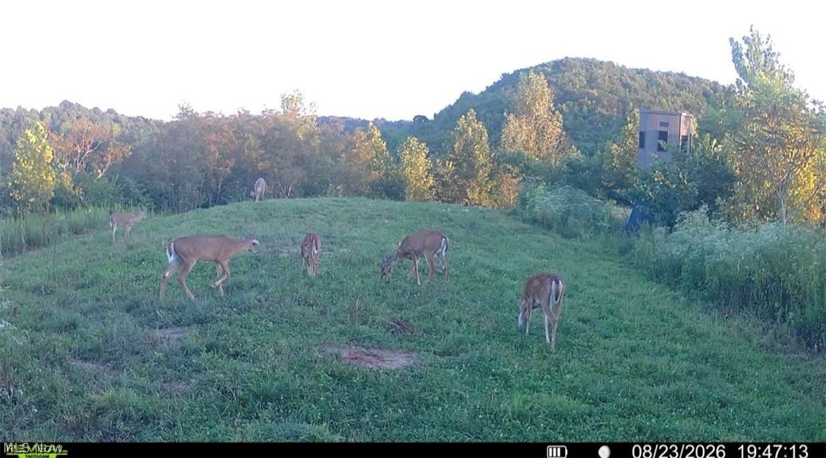 181 County Road Ironton, OH 45638 - Photo 24 of 34 Gallery Image 24