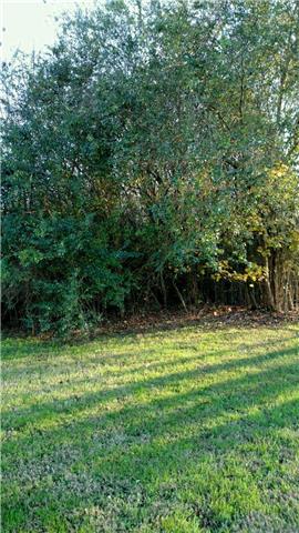 633 Old Huntsville Road Fayetteville, TN 37334 - Photo 3 of 4 Gallery Image 3