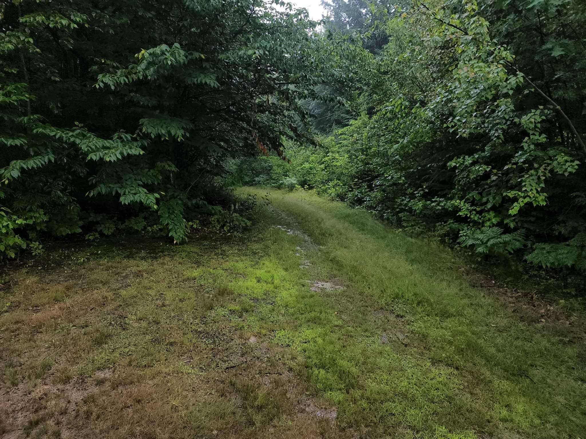 5 Country Road Gorham, NH 03581 - Photo 28 of 29