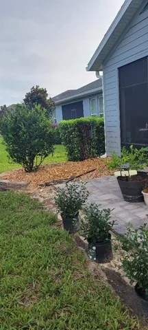 a backyard of a house with plants and trees