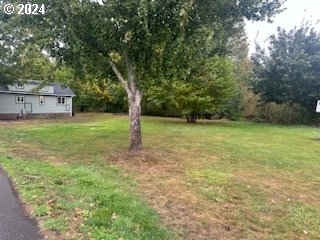 28800 Salmon River Highway Grand Ronde, OR 97347 - Photo 32 of 37 a view of a field with a tree