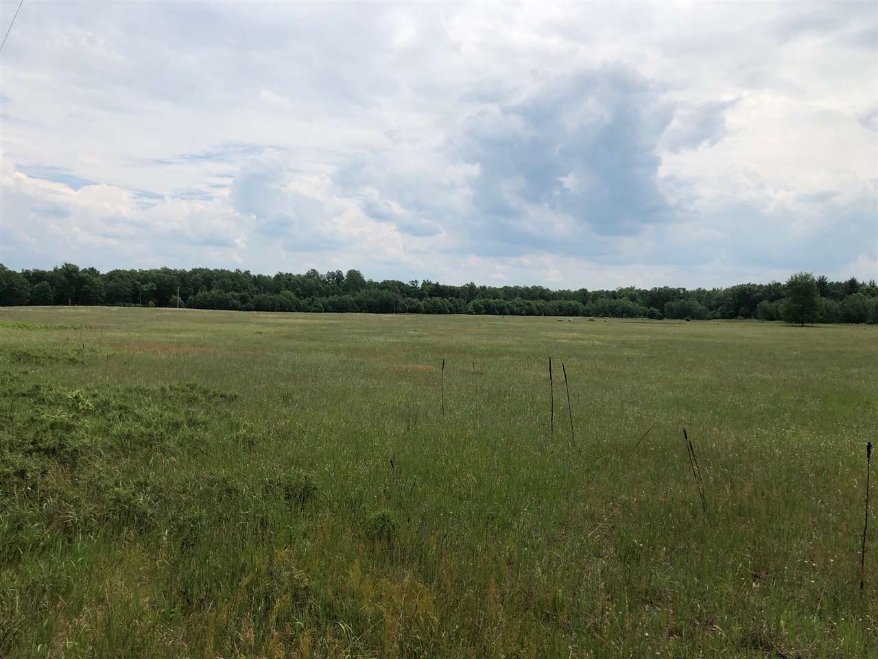 22097 Dorothy Road Wellston, MI 49689 - Photo 44 of 48 1876566-43.JPG